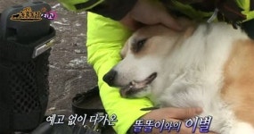 강원래 김송 오열 반려견 보내고 폭풍 눈물