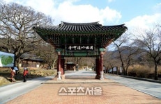영암, 봄날과 전통의 향기 가득 품은 남도마을