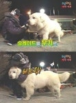 상근이 1박2일에서 다시는 못 봐… 11일 죽어