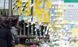 [SS포토] 단원고 앞 빼곡히 붙은 메모들