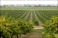 [기획] 알고 보면 더 재밌다 <사이드웨이>