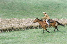 [인터뷰] <브로크백 마운틴> 히스 레저 - 영화 한 편으로 인생이 달라진 남자