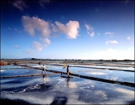[지역축제 탐방] 법성포 단오제 보고 즐길거리