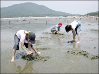 [김순근 전문기자의 테마여행] 충남 당진 1일 체험