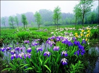 수도권 가볼만 한 식물원 소개