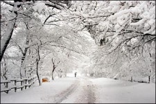 [관광공사 추천 1월에 가볼만한 곳] 순백의 낭만속으로