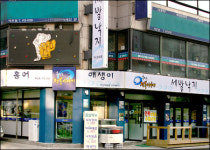 [창업 특집] 흑산도 전복이야기 참전복 생산자실명제