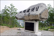 대관령옛길, 이제야 들꽃들의 속삭임..노란 추억을 만나다