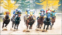 전기시즌 마지막 주 기복마 노려라..이변 속출