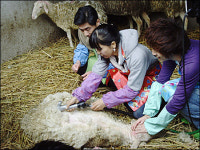 미나, 中 무한도전출연...섹시한 양털깎기 농장 주인 변신
