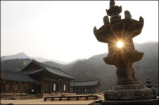 지리산에 봄이 떴다...계절의 정기 찾아 전남 구례 산중으로