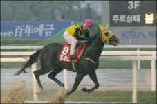 코리안더비 제패 에버니스톰, 인기 꼴찌마 이유있는 반란