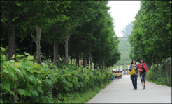 [SC 매거진] 온천-숲-꽃의 고장 아산 자연 친화적 공간