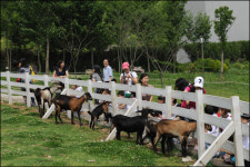 [SC 매거진] 온천-숲-꽃의 고장 아산 자연 친화적 공간