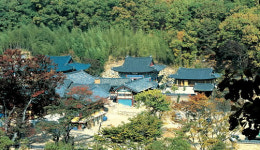 [SC 매거진] 영천, 이곳만은 둘러보자!