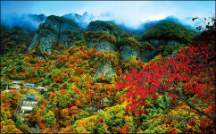 [관광코리아] 경북 단풍 명소