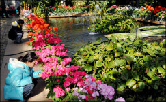 [관광, 코리아!] 수도권 온천 기행 : 아산 도고 온천