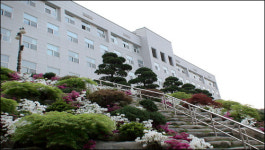 서정대학, 백수-백조들? 우리 학교엔 없어요