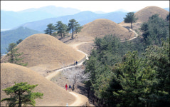 대가야 시대로 떠나는 경북 고령 시간여행