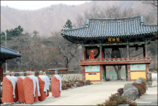 경북 청도로 떠나는 봄 맛기행