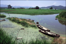 [관광, 코리아!] 한국관광산업의 새 흐름 녹색관광