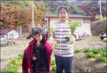 주말농장과 직장, 자립형 전원주택 횡성한우 리버타운 조성
