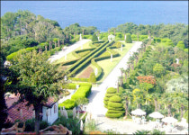 코레일 바다로 기차여행 상품 올 가이드