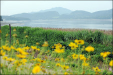 [SC페이퍼진] 강화 염하길 기행