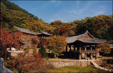 [관광, 코리아!] 유달리 빛깔 고운 경북 단풍 명소 4선