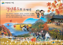[SC 페이퍼진] 유달리 빛깔 고운 경북 단풍 명소 4선