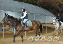 [SC 페이퍼진] 현장속으로 - 승마 체험