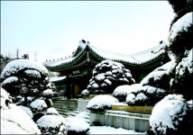 내 집처럼 편안히~ 특급 호텔 윈터 패키지