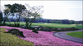 [SC 페이퍼진] 골프장 맛집 기행 : 제주 블랙스톤골프장
