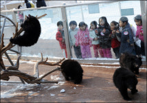 기차 타고 떠나는 대전 기행...상쾌한 숲길-포근한 눈길
