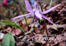 [한국 100대 명산 찾기] <64> 백암산