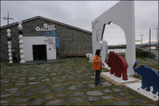 슬로시티 증도 매력속으로...세계 5대갯벌 명품 소금 생산지