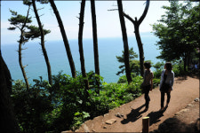 여름, 부산 해운대 기행...해송 벗삼아 거니는 달맞이길