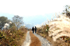 호젓한 만추 속으로의 여정 '충남 금산'