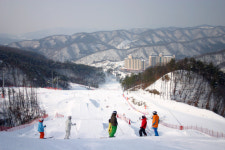 2010~2011 시즌 전국 스키장 개장 올 가이드