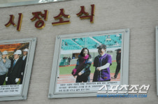 [르포] 봄맞은 창원시, 롯데 눈칫밥 설움 풀었다