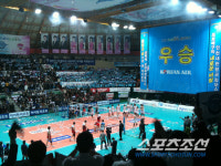 인천도원체육관, 푸른물결 넘실