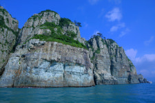 봄꽃 기차여행 이제는 골라서 떠난다!