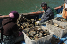 매향(梅香) 따라 떠나는 섬진강 미식기행