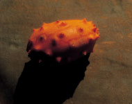 갑작스럽게 추워진 날씨, 여드름 비상