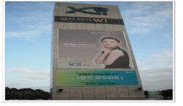 디에스디삼호, 아파트 분양률 뻥튀기 광고 딱 걸렸네