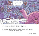 [숨은 그림 찾기] 거북이를 본... 정답