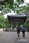 [한국 100대 명산 찾기-90차 덕숭산] 수덕산 품은 山, 내 마음도 품었다