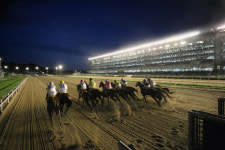 서울경마공원 야간경마축제 올여름 바캉스 책임진다.