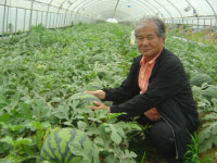 토양-온도-기술 3박자 갖춘 1등수박 생산