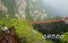 오감(五感)이 즐거운 F1 코리아 그랑프리